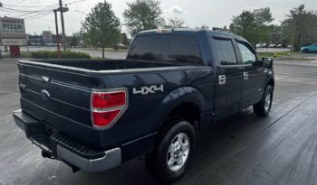 2014 Ford F-150 full
