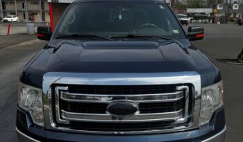 2014 Ford F-150 full