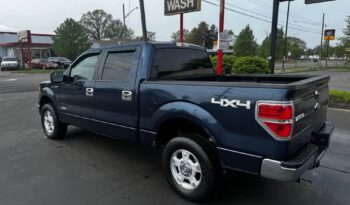 2014 Ford F-150 full